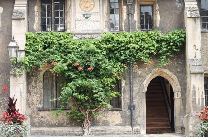 Bucksmore - Bucksmore